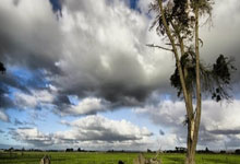 天涯长江论坛：畅谈长江文化的在线聚会